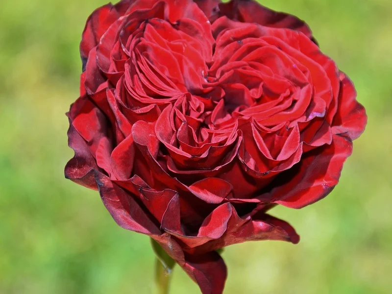 大发娱乐PG电子平台