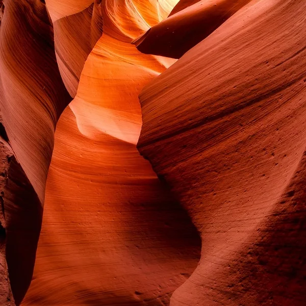 大发娱乐老虎机