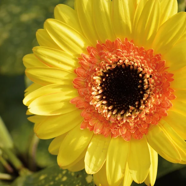 大发娱乐棋牌游戏